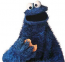 Cookie Monster's Avatar