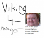 Viking4Manager's Avatar