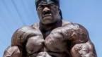 Kali Muscle's Avatar