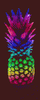 A Pineapple's Avatar