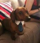 Mr. Richard's Avatar