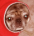 Aerionyx's Avatar