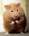 HurtfulHamster's Avatar