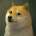 ThatDogeTho's Avatar