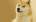 TheWeedDoge's Avatar