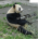 ILoveHobo's Avatar