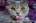 Professor Pussy Kat's Avatar