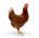 Nugget's Avatar