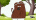 Cyan's Avatar