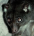 admin's Avatar