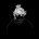 worldst4r's Avatar