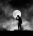 Night_Shadow454's Avatar