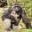 Deathtrophy's Avatar