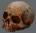 faisalskull's Avatar
