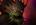 Deadmorts's Avatar