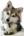 Wolfie4life's Avatar
