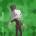HyperPolygon64's Avatar