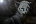 Jayfeather's Avatar
