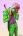 JokeriTTo's Avatar