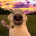 Mr. Richard's Avatar