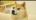 Eversores's Avatar