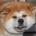 Bloby's Avatar
