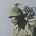 Jerusrealm's Avatar