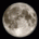 Timothyrirl's Avatar