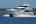 Boring Gamers Boat's Avatar