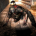 L0ST's Avatar