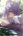 Keccu's Avatar