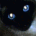 Thomasmn's Avatar