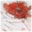 EdTagHoogs's Avatar