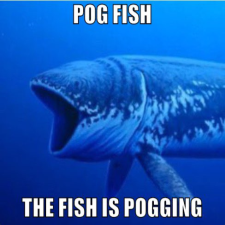 :pogfish: